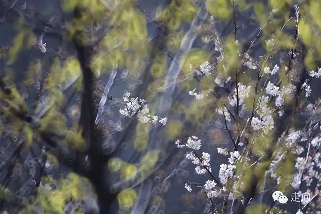 【走进临澧】美女摄影师眼中的太浮山(图6)