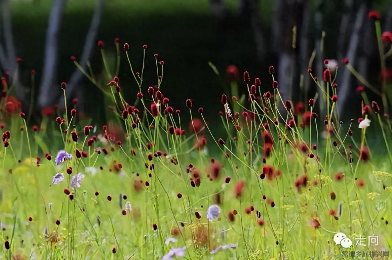 【走进临澧】美女摄影师眼中的太浮山(图5)