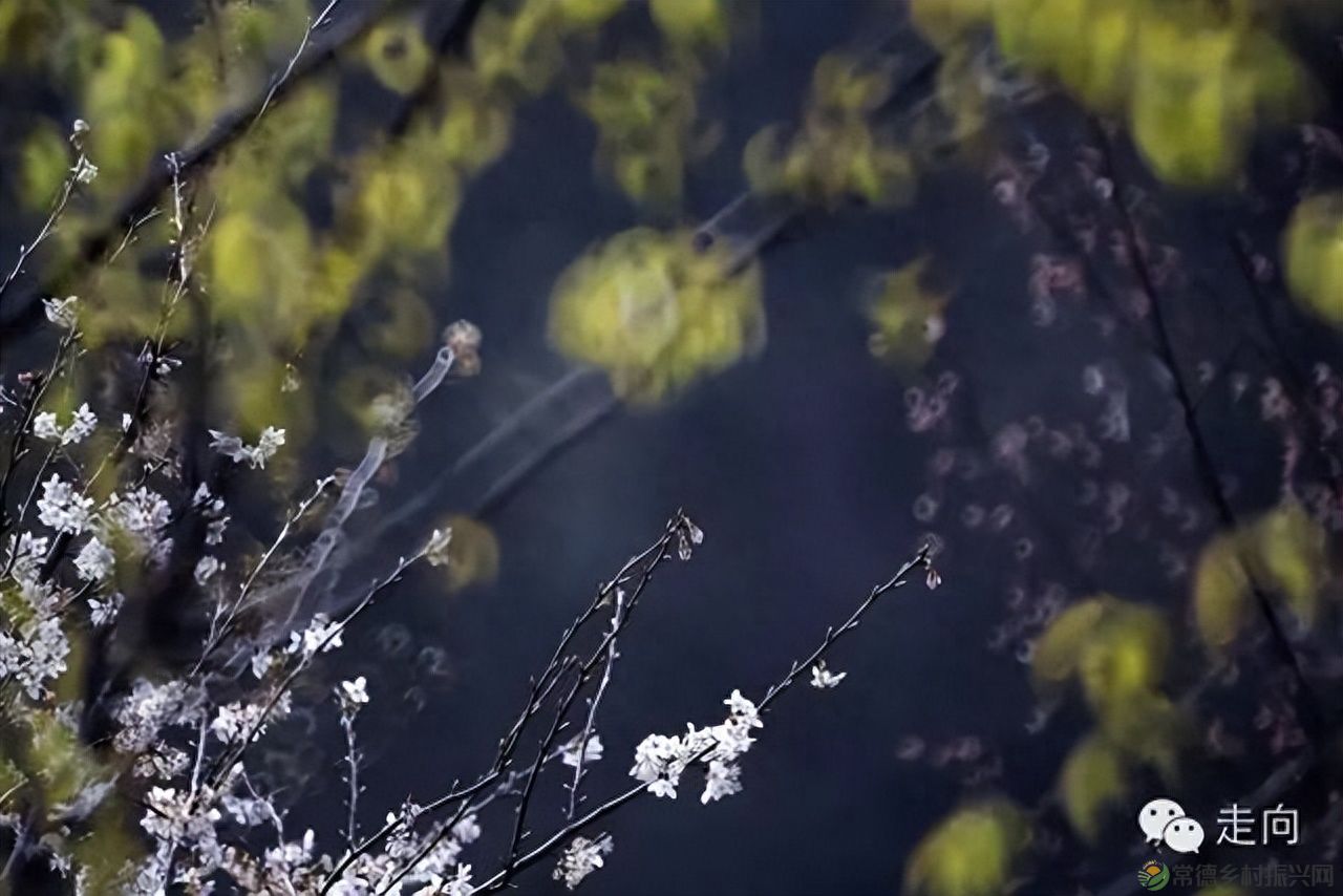 【走进临澧】美女摄影师眼中的太浮山(图7)