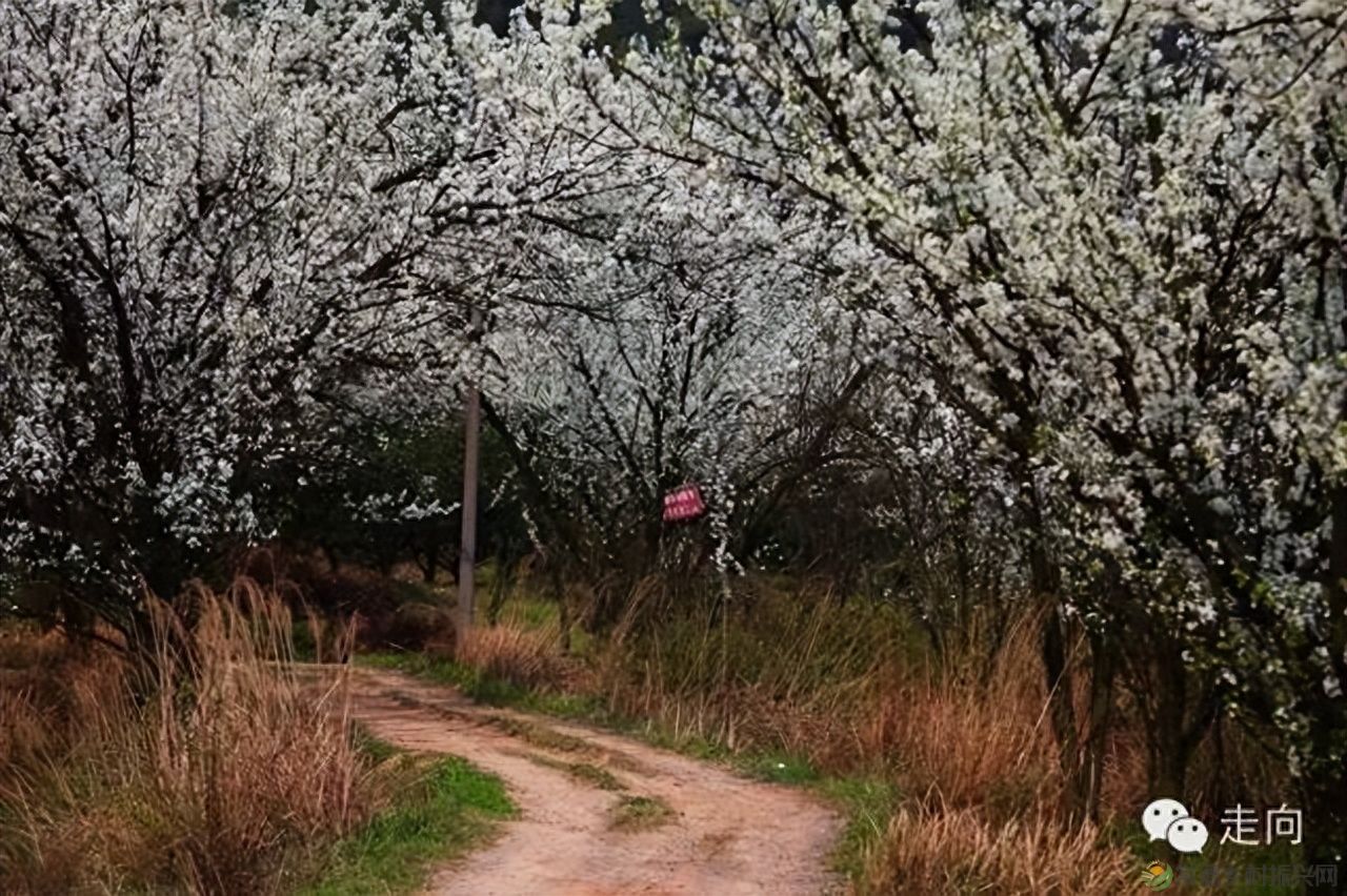 【走进临澧】美女摄影师眼中的太浮山(图8)