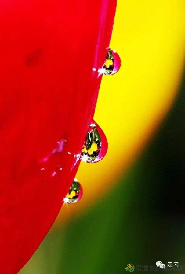 【走进临澧】美女摄影师眼中的太浮山(图17)