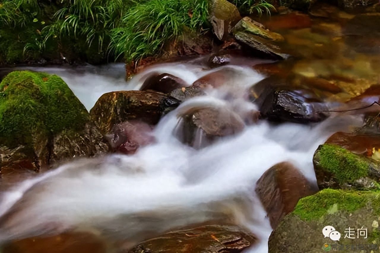 【走进临澧】美女摄影师眼中的太浮山(图12)