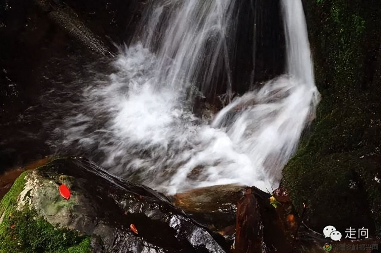 【走进临澧】美女摄影师眼中的太浮山(图13)