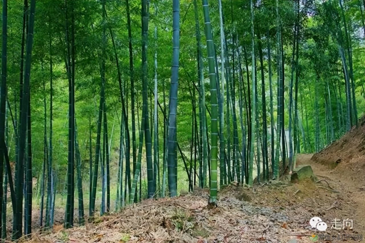 【走进临澧】美女摄影师眼中的太浮山(图14)