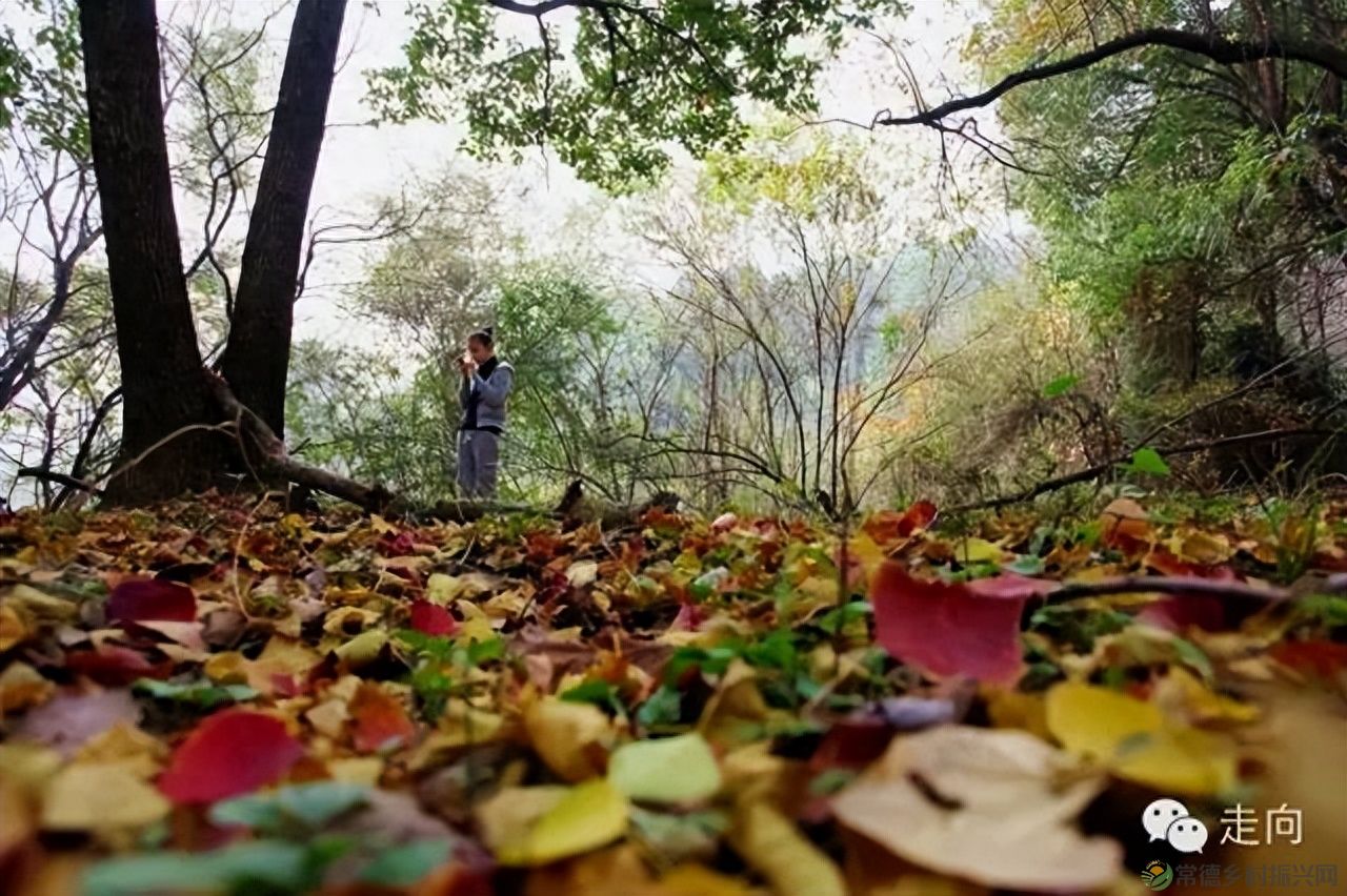 【走进临澧】美女摄影师眼中的太浮山(图18)