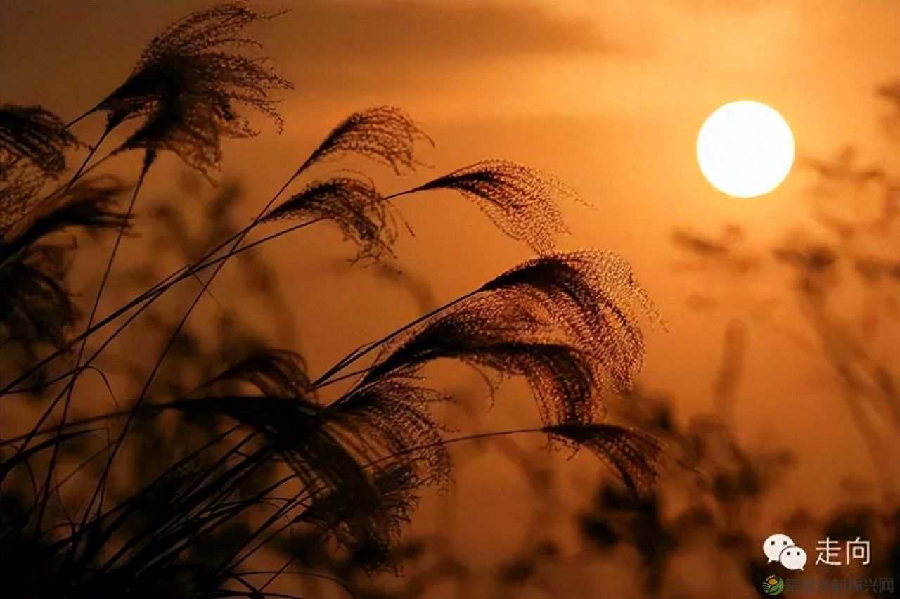 【走进临澧】美女摄影师眼中的太浮山(图22)