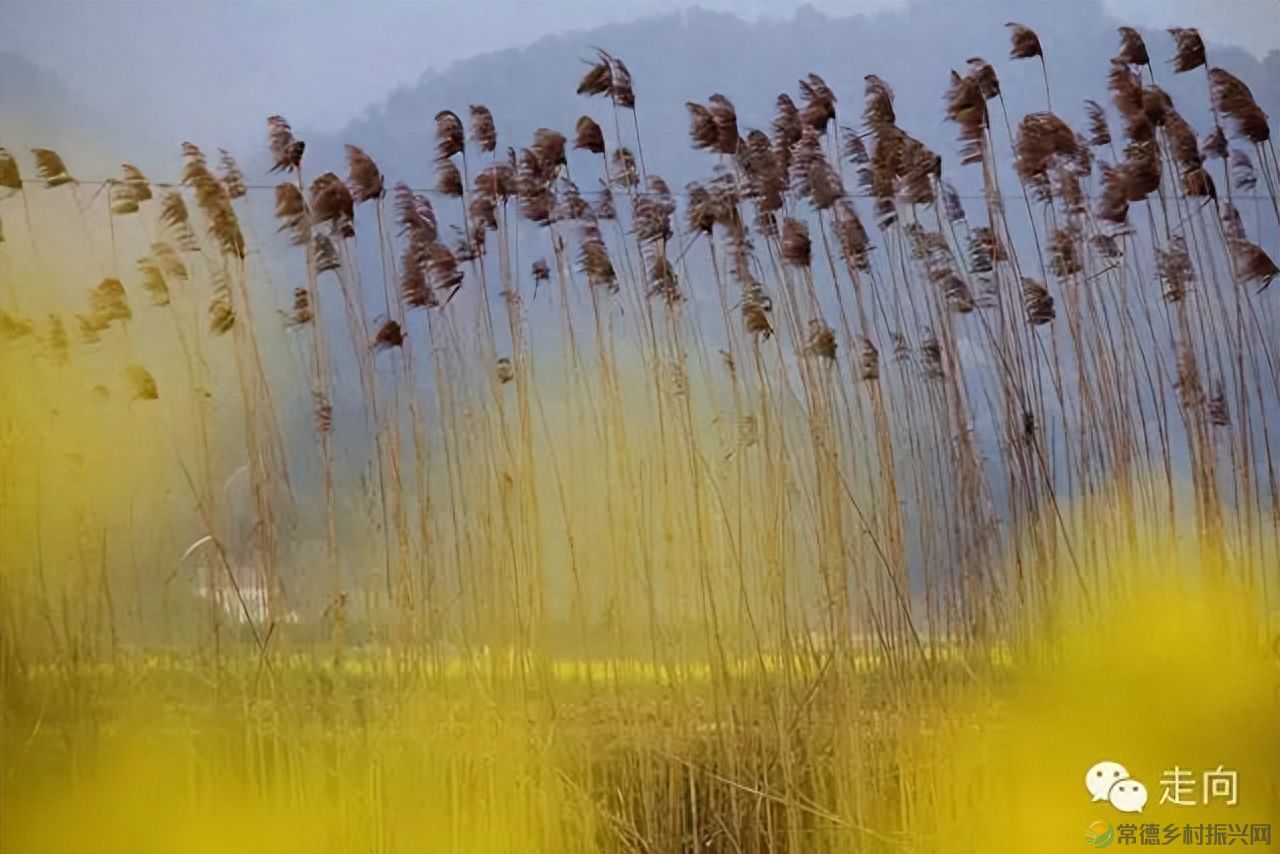 【走进临澧】美女摄影师眼中的太浮山(图20)