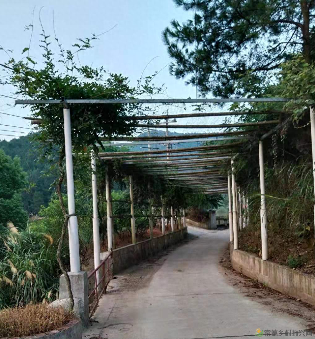 【走进临澧】建议收藏!太浮山周边的美食攻略值友都帮你预备好了(图11) 【走进临澧】建议收藏!太浮山周边的美食攻略值友都帮你预备好了(图11)