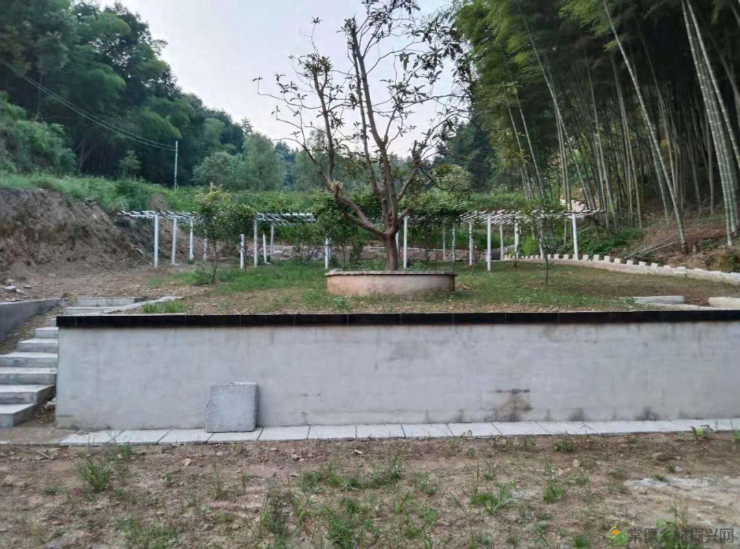 【走进临澧】建议收藏!太浮山周边的美食攻略值友都帮你预备好了(图15) 【走进临澧】建议收藏!太浮山周边的美食攻略值友都帮你预备好了(图15)