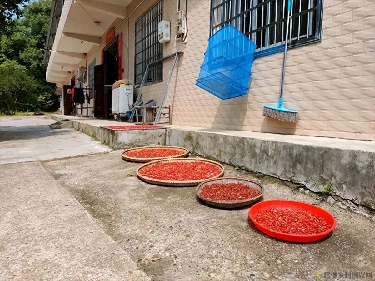 【走进临澧】建议收藏!太浮山周边的美食攻略值友都帮你预备好了(图31) 【走进临澧】建议收藏!太浮山周边的美食攻略值友都帮你预备好了(图31)