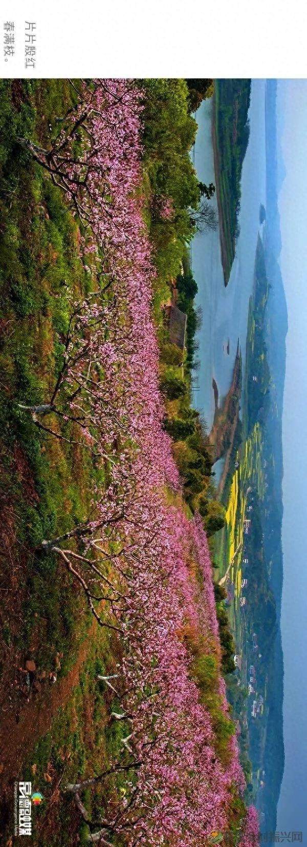 【走进临澧】他用镜头记录了太浮山的春夏秋冬...(图2) 【走进临澧】他用镜头记录了太浮山的春夏秋冬...(图2)