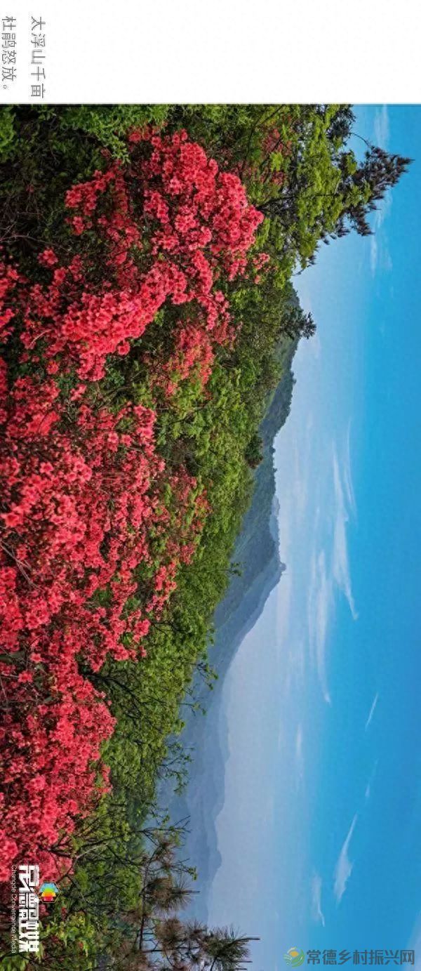 【走进临澧】他用镜头记录了太浮山的春夏秋冬...(图3) 【走进临澧】他用镜头记录了太浮山的春夏秋冬...(图3)