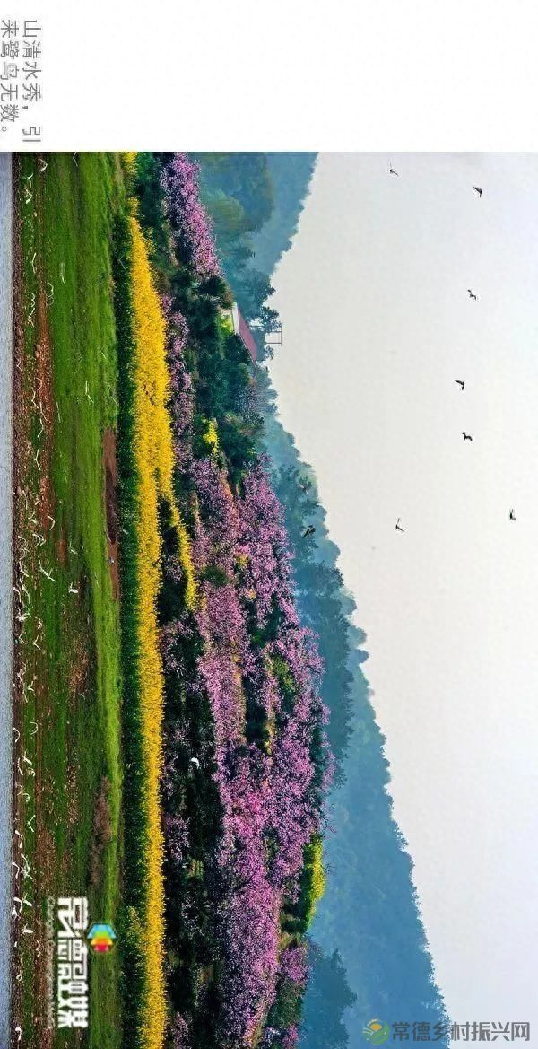 【走进临澧】他用镜头记录了太浮山的春夏秋冬...(图4) 【走进临澧】他用镜头记录了太浮山的春夏秋冬...(图4)