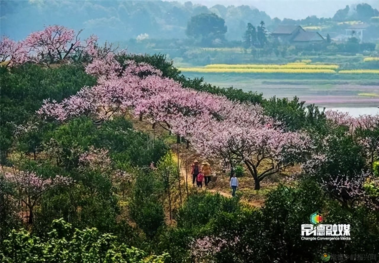 【走进临澧】他用镜头记录了太浮山的春夏秋冬...(图10) 【走进临澧】他用镜头记录了太浮山的春夏秋冬...(图10)