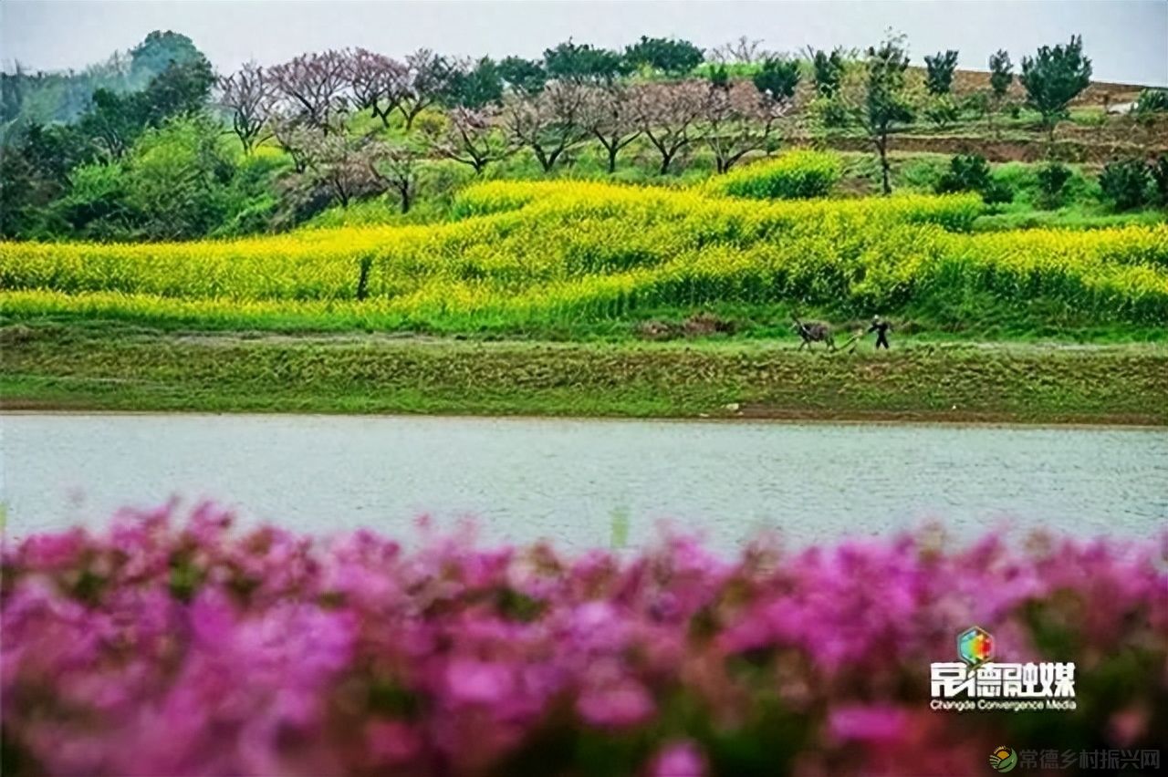 【走进临澧】他用镜头记录了太浮山的春夏秋冬...(图11) 【走进临澧】他用镜头记录了太浮山的春夏秋冬...(图11)