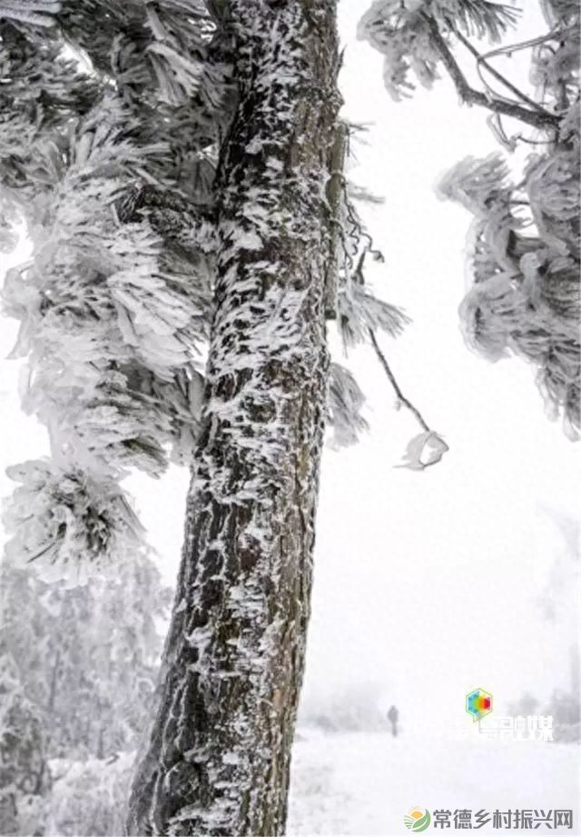 【走进临澧】他用镜头记录了太浮山的春夏秋冬...(图14) 【走进临澧】他用镜头记录了太浮山的春夏秋冬...(图14)