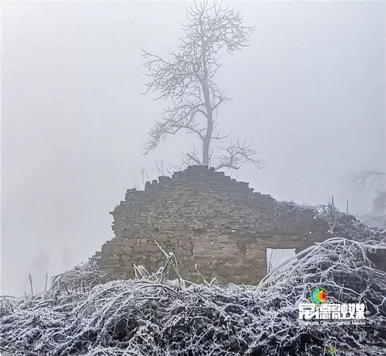 【走进临澧】他用镜头记录了太浮山的春夏秋冬...(图15) 【走进临澧】他用镜头记录了太浮山的春夏秋冬...(图15)