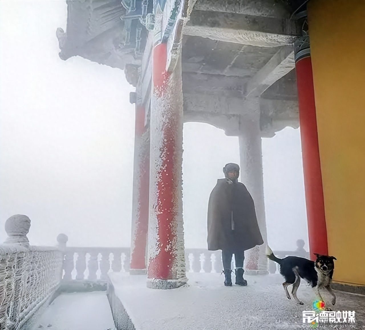 【走进临澧】他用镜头记录了太浮山的春夏秋冬...(图17) 【走进临澧】他用镜头记录了太浮山的春夏秋冬...(图17)