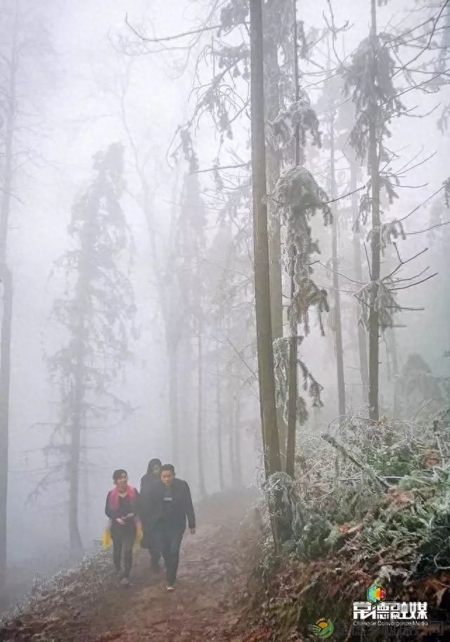 【走进临澧】他用镜头记录了太浮山的春夏秋冬...(图18) 【走进临澧】他用镜头记录了太浮山的春夏秋冬...(图18)