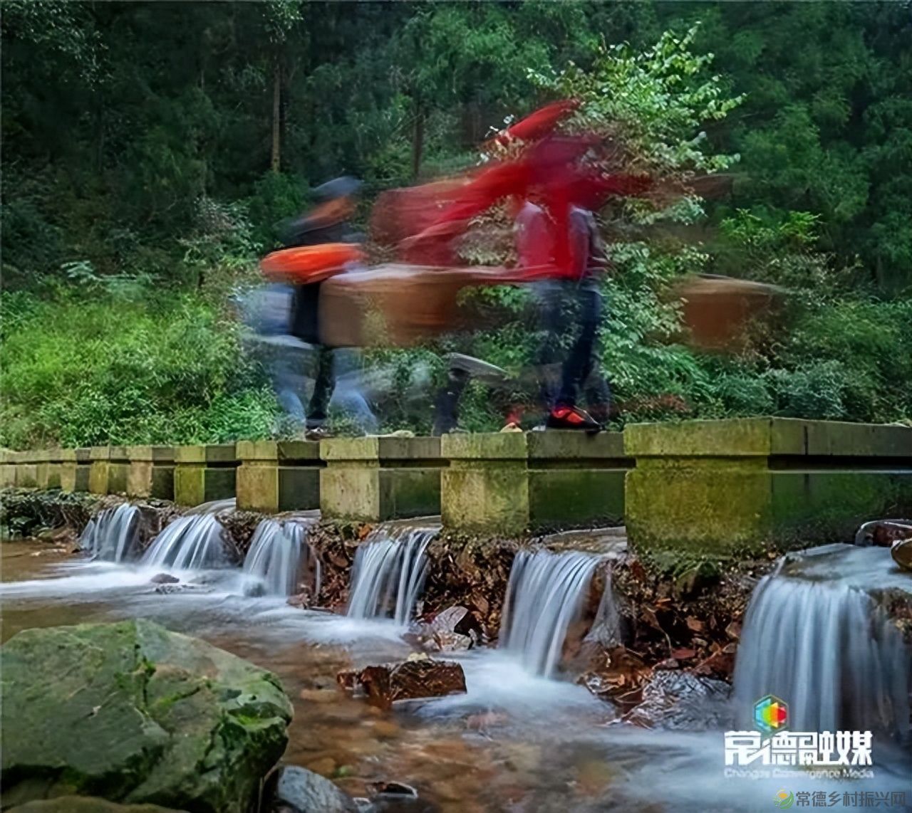 【走进临澧】他用镜头记录了太浮山的春夏秋冬...(图20) 【走进临澧】他用镜头记录了太浮山的春夏秋冬...(图20)