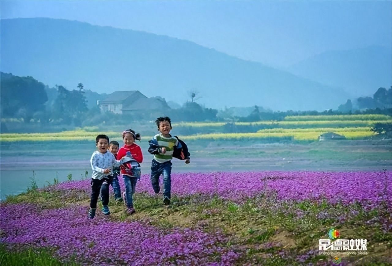 【走进临澧】他用镜头记录了太浮山的春夏秋冬...(图23) 【走进临澧】他用镜头记录了太浮山的春夏秋冬...(图23)