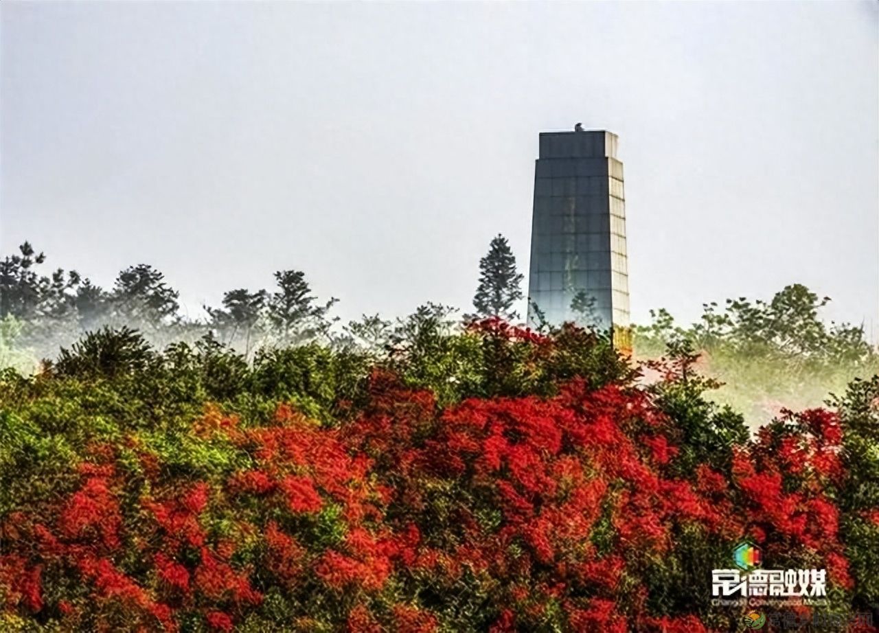 【走进临澧】他用镜头记录了太浮山的春夏秋冬...(图28) 【走进临澧】他用镜头记录了太浮山的春夏秋冬...(图28)