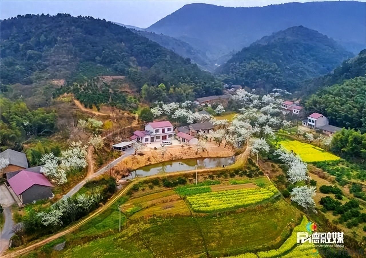 【走进临澧】他用镜头记录了太浮山的春夏秋冬...(图27) 【走进临澧】他用镜头记录了太浮山的春夏秋冬...(图27)