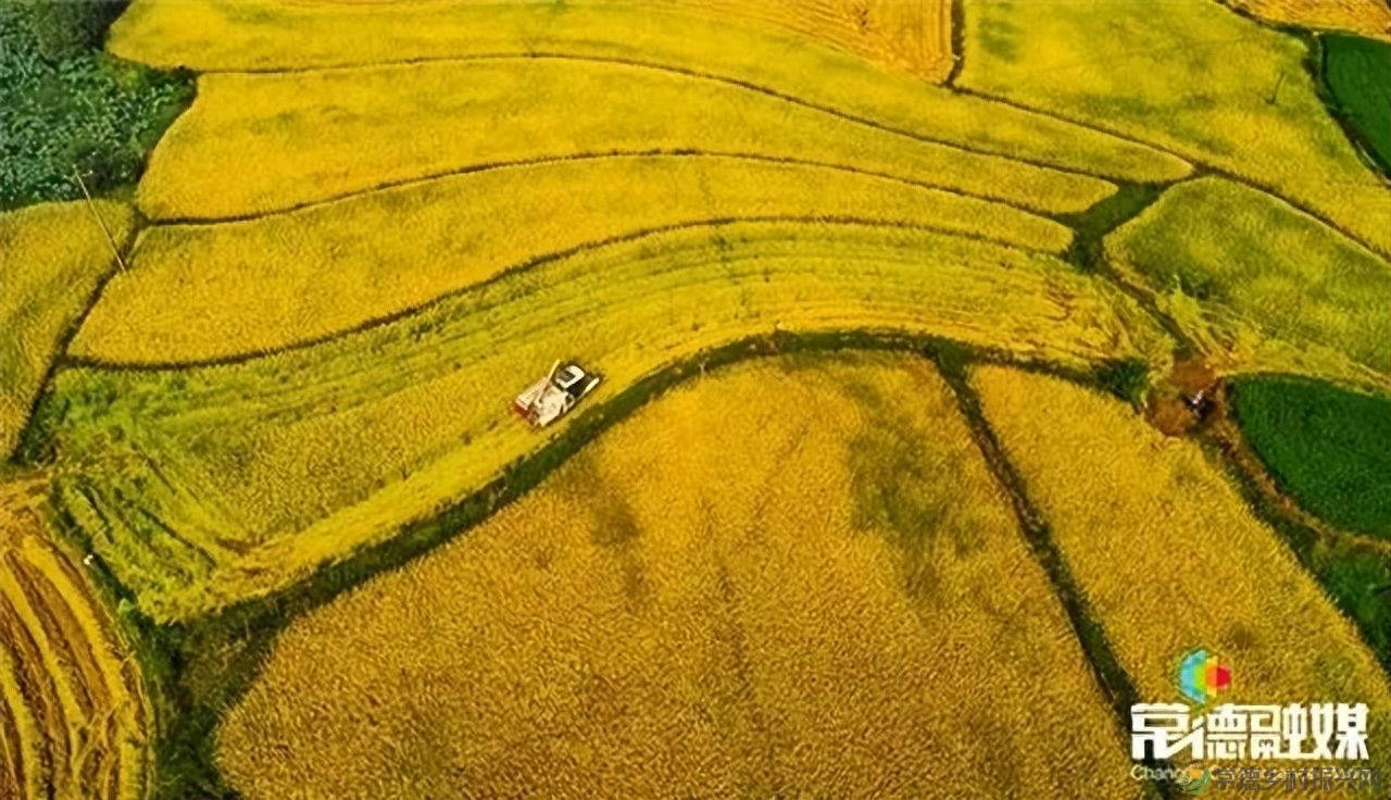 【走进临澧】他用镜头记录了太浮山的春夏秋冬...(图34) 【走进临澧】他用镜头记录了太浮山的春夏秋冬...(图34)