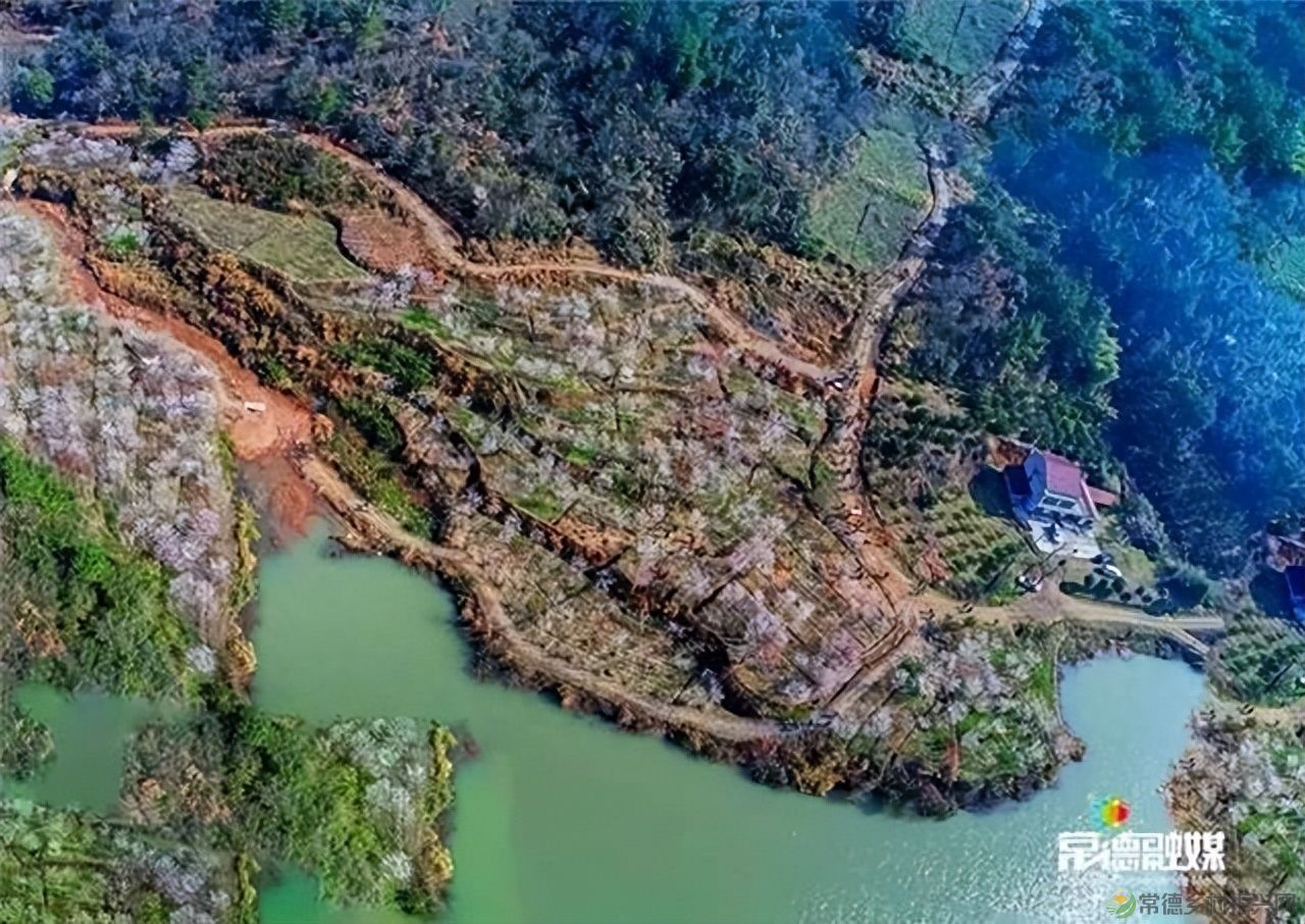 【走进临澧】他用镜头记录了太浮山的春夏秋冬...(图33) 【走进临澧】他用镜头记录了太浮山的春夏秋冬...(图33)