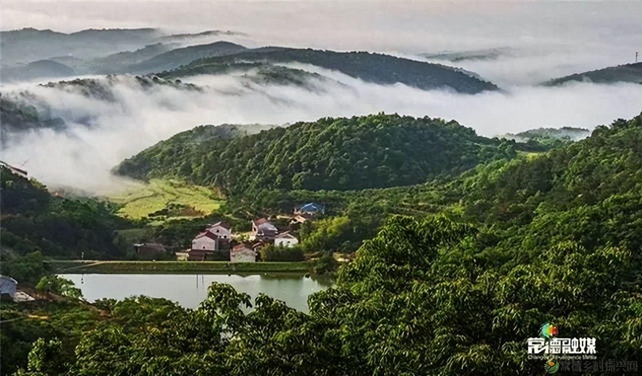 【走进临澧】他用镜头记录了太浮山的春夏秋冬...(图36) 【走进临澧】他用镜头记录了太浮山的春夏秋冬...(图36)