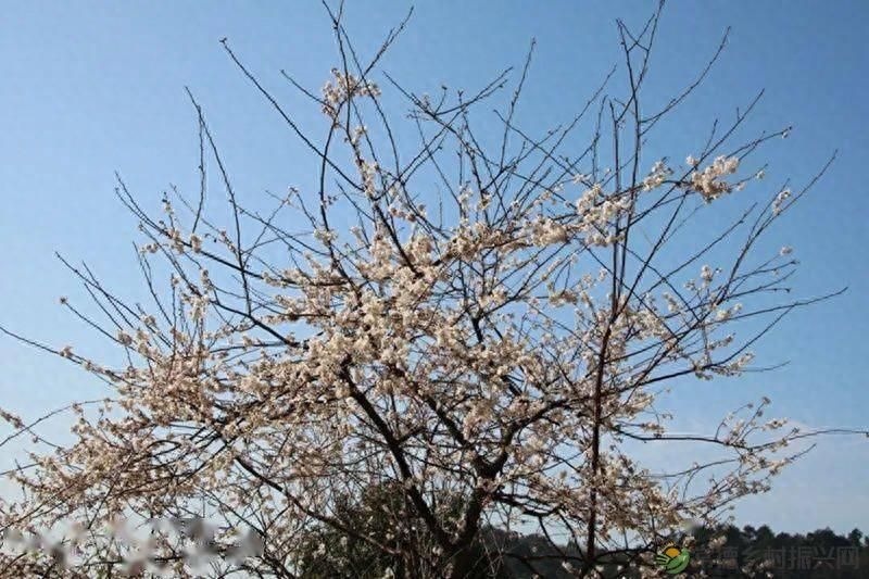 【走进临澧】很多人都说这里很美，不信你亲自走一趟......