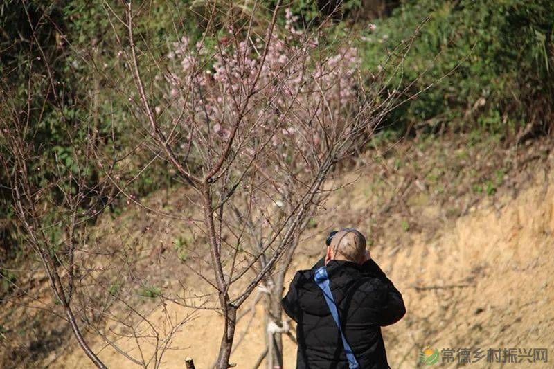 【走进临澧】很多人都说这里很美,不信你亲自走一趟......(图5) 【走进临澧】很多人都说这里很美,不信你亲自走一趟......(图5)