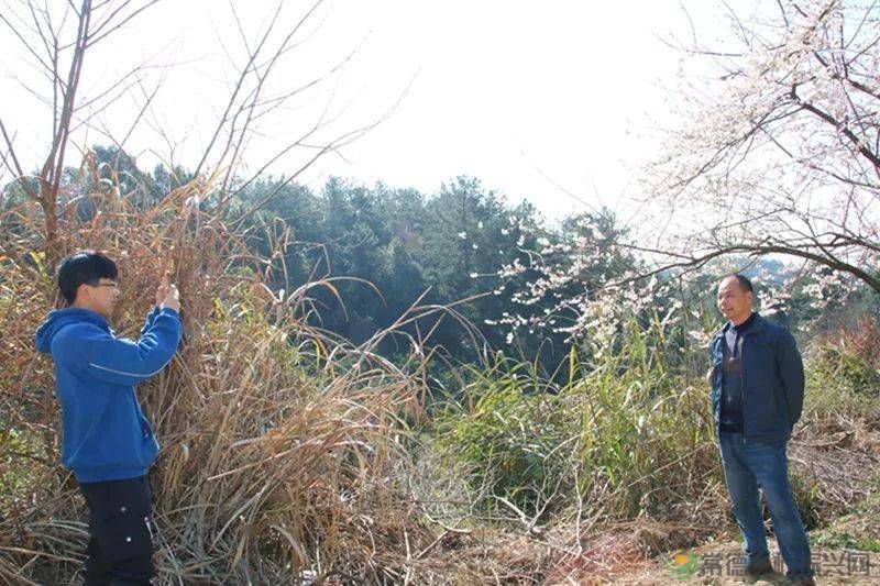 【走进临澧】很多人都说这里很美,不信你亲自走一趟......(图7) 【走进临澧】很多人都说这里很美,不信你亲自走一趟......(图7)