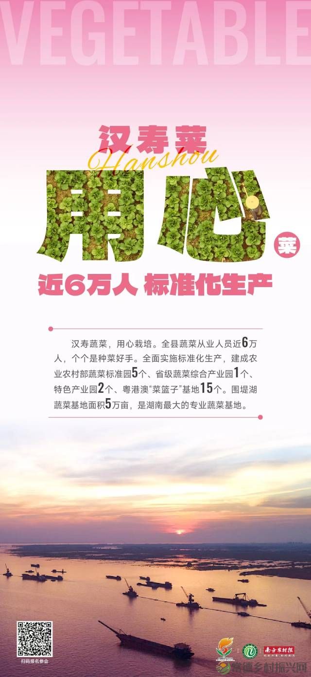 汉寿菜，全球菜！(图4)