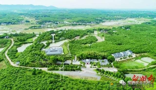 红色热土 青山常在——临澧修梅乡村振兴示范片“红绿融合”激活发展新动能