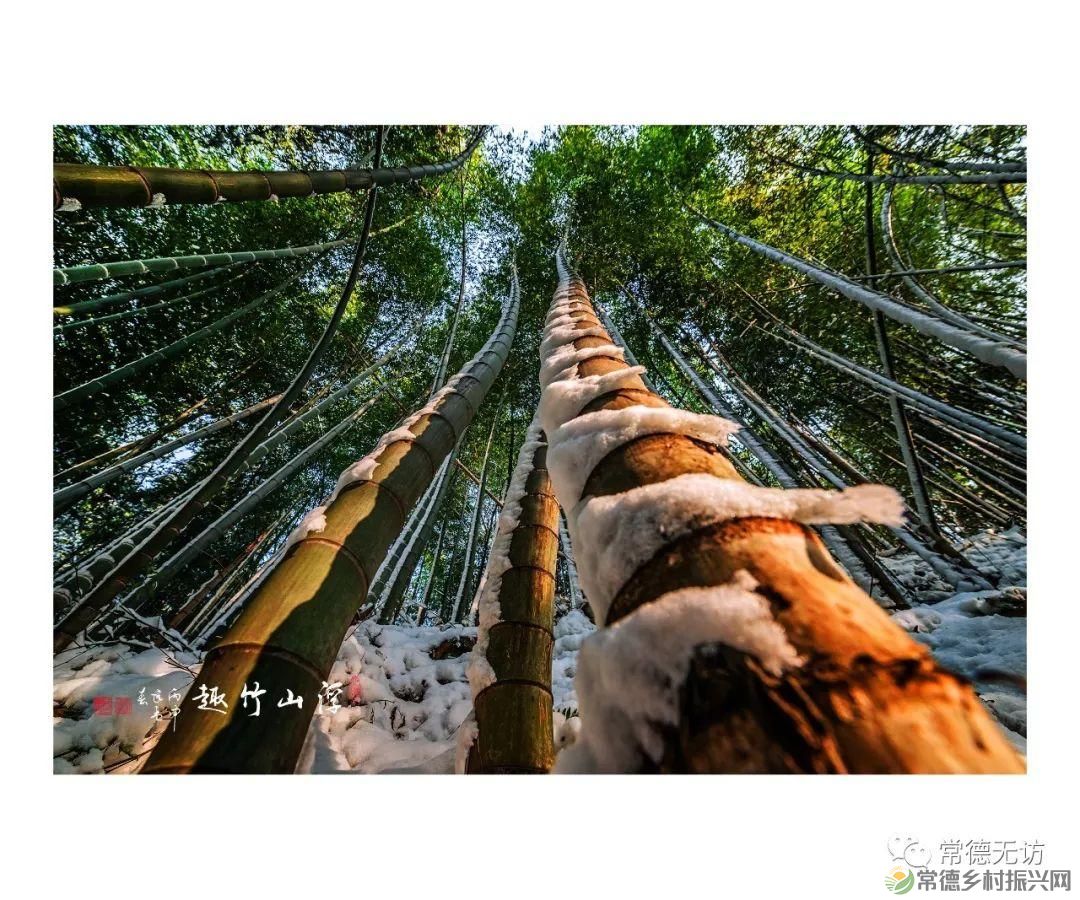 【走进临澧】游红色之旅 享绿色自然 ——最美太浮山欢迎您!(图4) 【走进临澧】游红色之旅 享绿色自然 ——最美太浮山欢迎您!(图4)