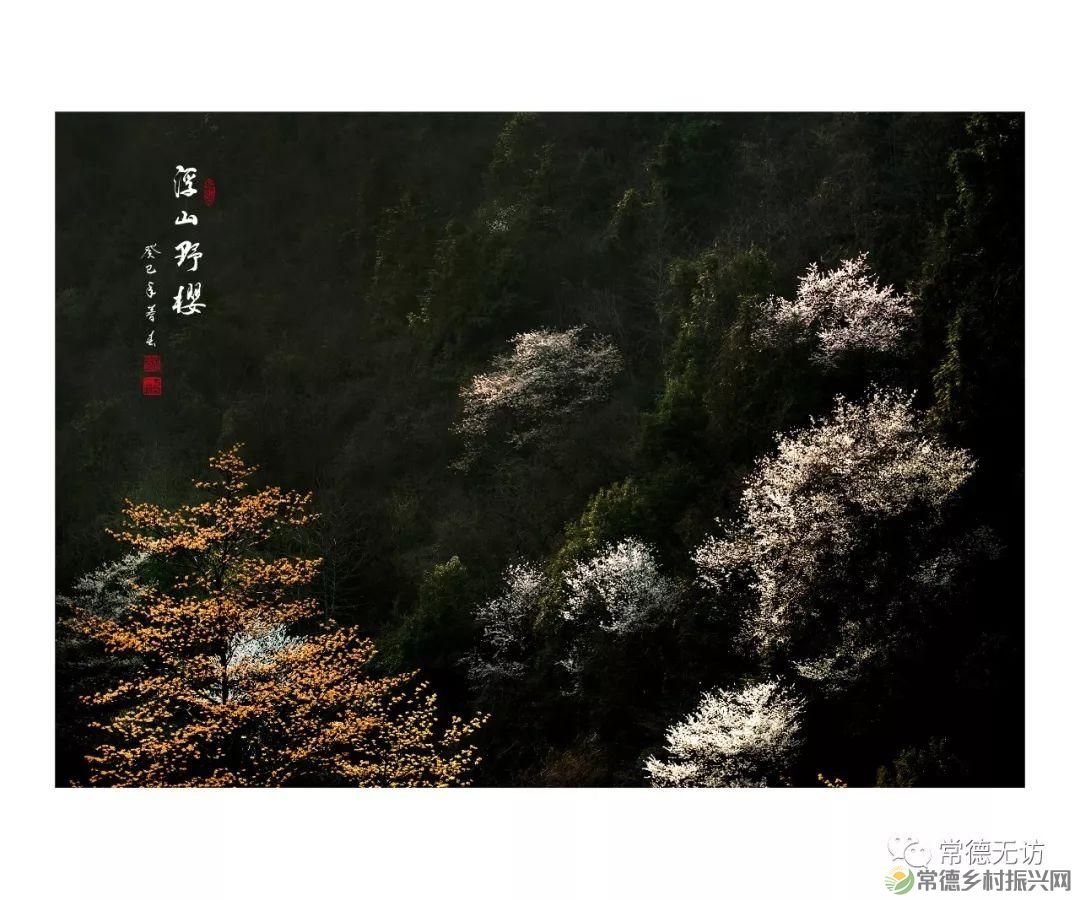 【走进临澧】游红色之旅 享绿色自然 ——最美太浮山欢迎您!(图5) 【走进临澧】游红色之旅 享绿色自然 ——最美太浮山欢迎您!(图5)