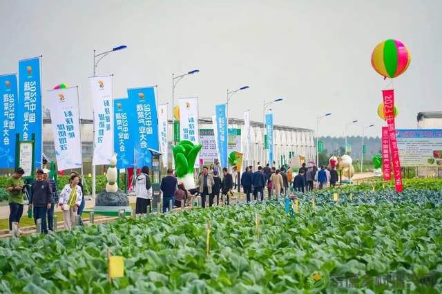 【喜讯】2023中国蔬菜产业大会在汉寿开幕(图3) 【喜讯】2023中国蔬菜产业大会在汉寿开幕(图3)