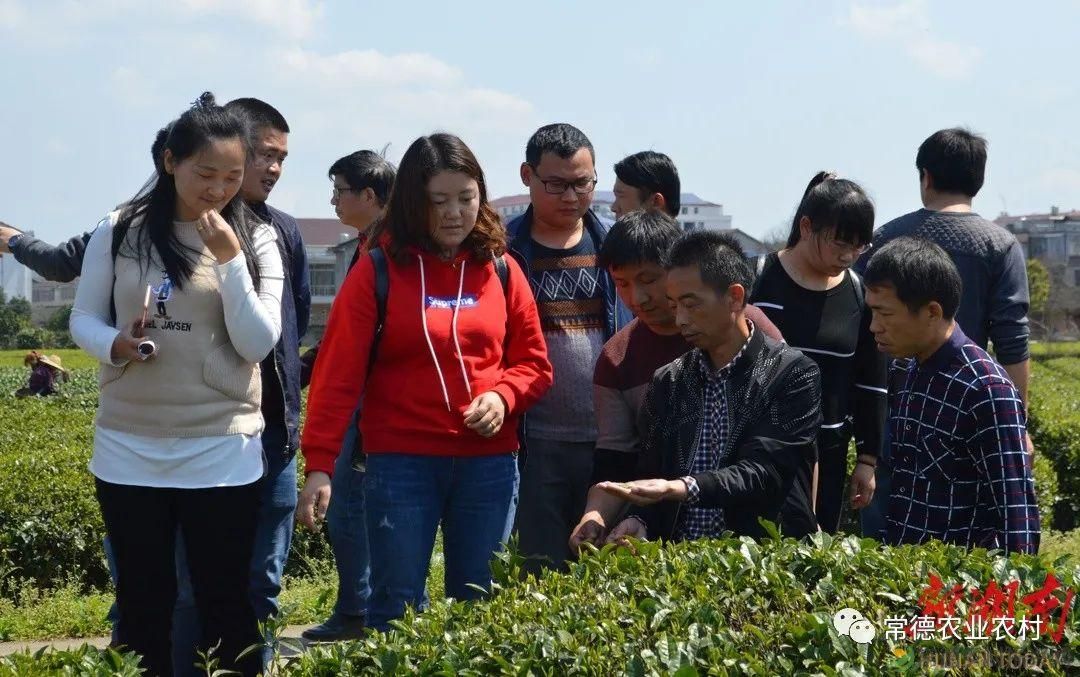 放飞梦想——常德培养11000多名农民大学生助力乡村振兴(图3)