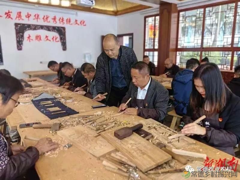 放飞梦想——常德培养11000多名农民大学生助力乡村振兴(图2)