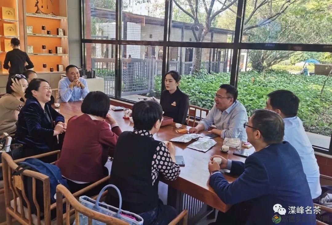 石门县茶叶产业协会赴福建学习考察，助推茶产业高质量发展(图4)