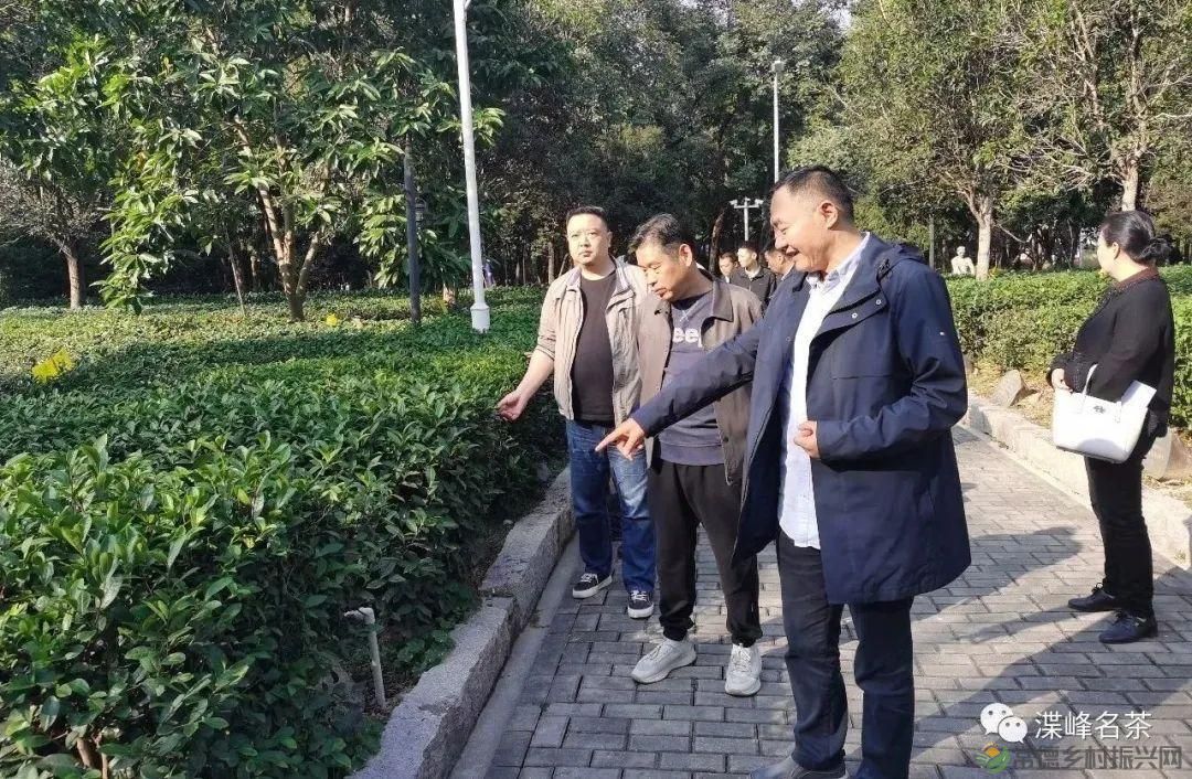 石门县茶叶产业协会赴福建学习考察，助推茶产业高质量发展(图8)