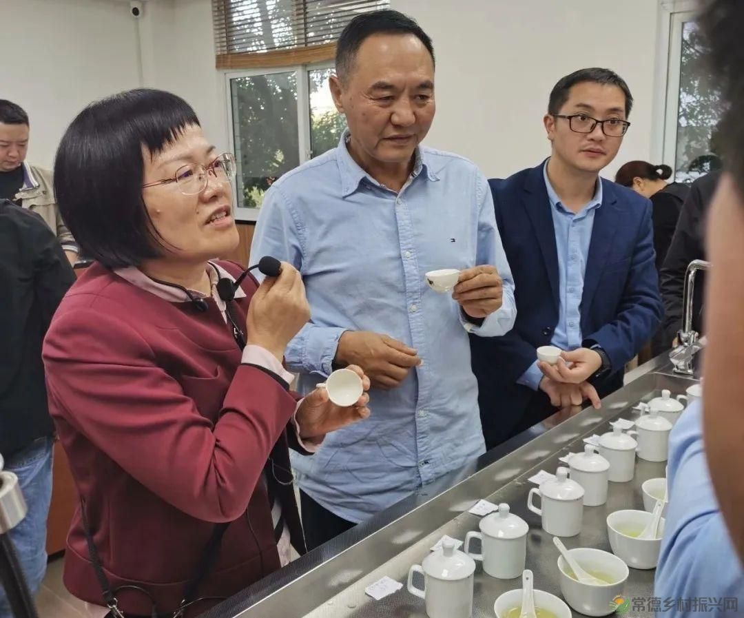 石门县茶叶产业协会赴福建学习考察，助推茶产业高质量发展(图9)