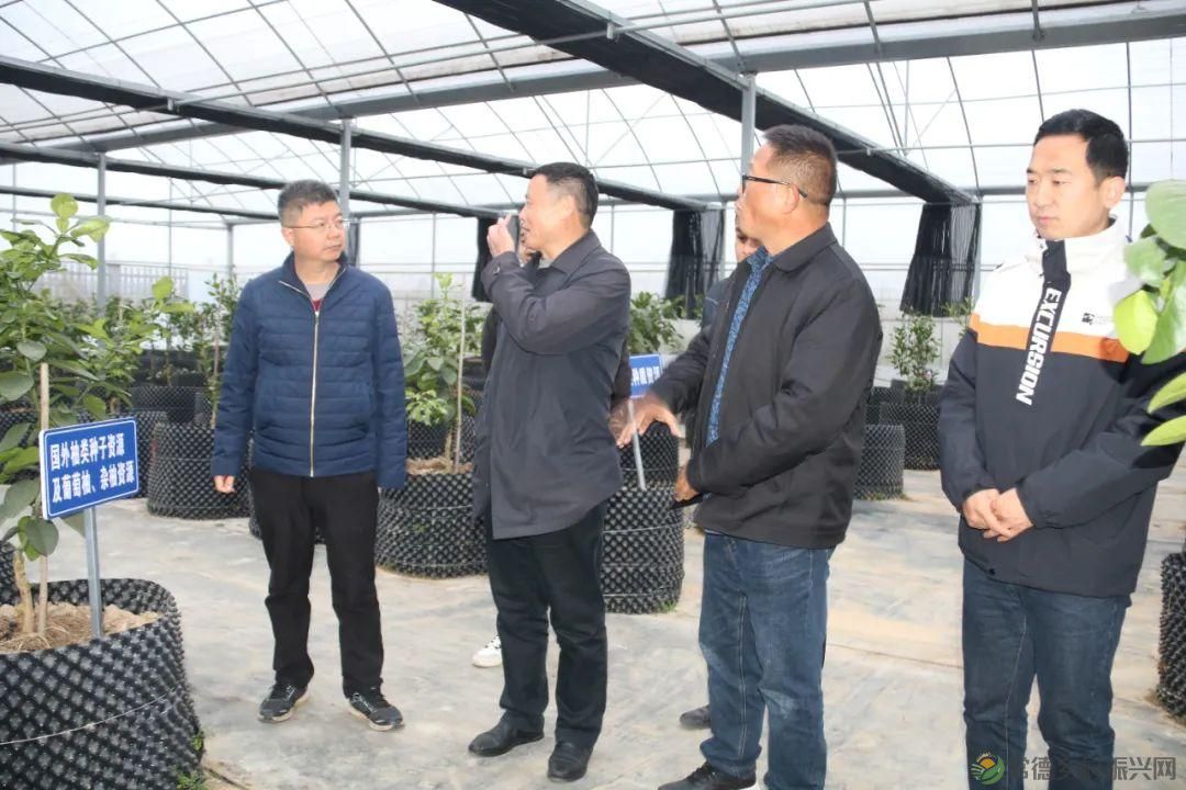 省园艺所专家团来常德市指导果树种业创新工作(图5) 省园艺所专家团来常德市指导果树种业创新工作(图5)