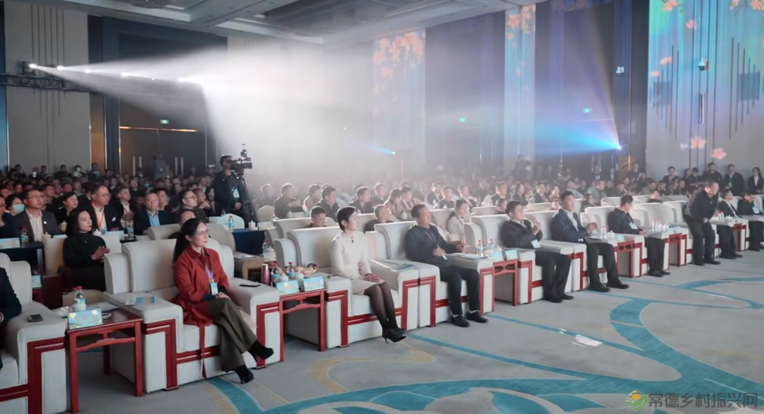 2023年湖南省(冬季)乡村文化旅游节、湖南省冬季“村晚”示范展示活动暨第二届常德市旅游发展大会精彩启幕(图16) 2023年湖南省(冬季)乡村文化旅游节、湖南省冬季“村晚”示范展示活动暨第二届常德市旅游发展大会精彩启幕(图16)