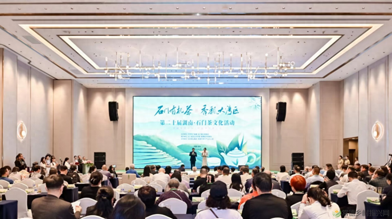 石门好茶好故事 第二十届湖南石门茶文化活动深圳推介会举办