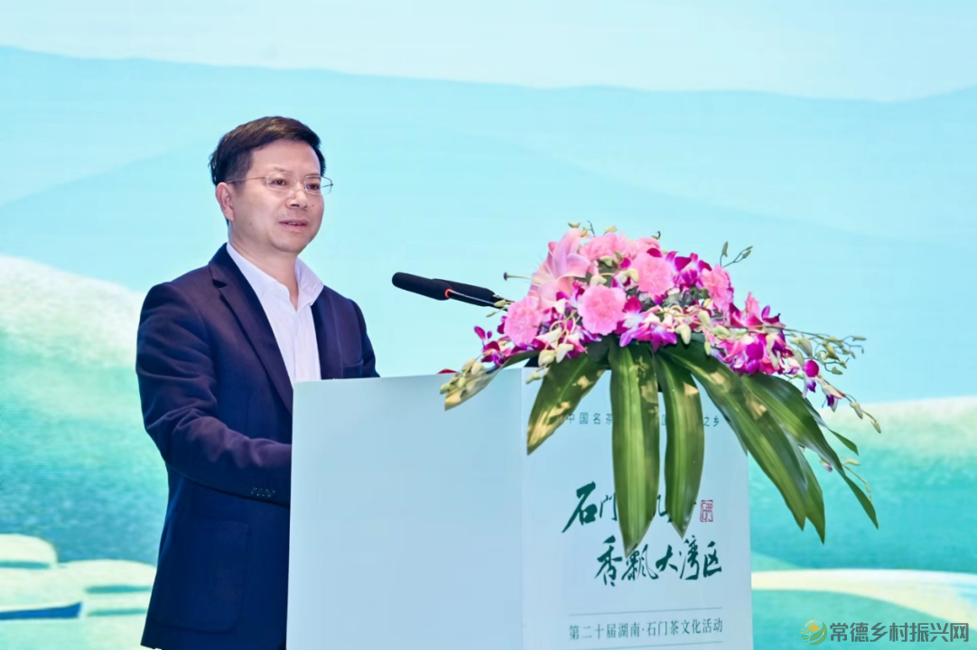 石门好茶好故事 第二十届湖南石门茶文化活动深圳推介会举办(图2)