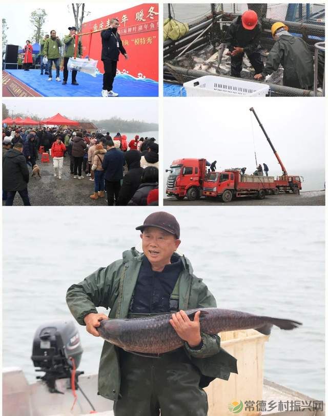 【红火大年 玩转常德】柳叶湖“年鱼集”火热开捕(图8) 【红火大年 玩转常德】柳叶湖“年鱼集”火热开捕(图8)