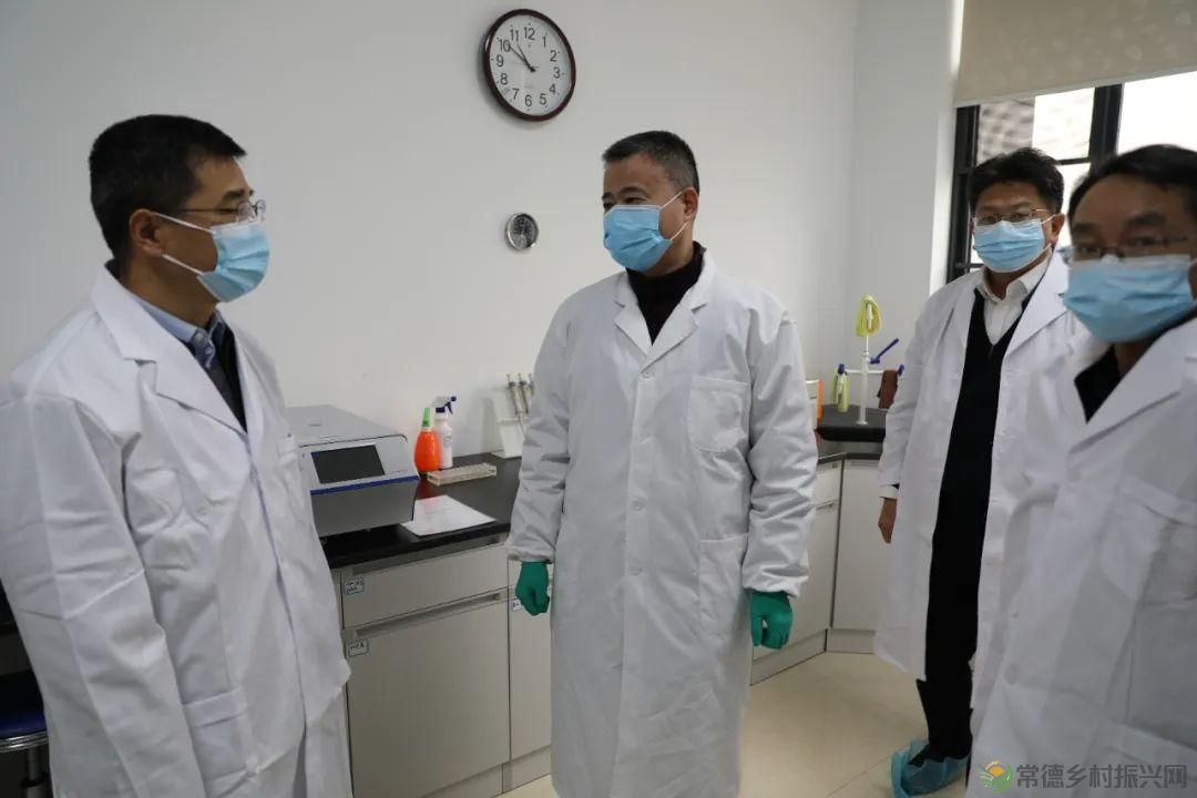 【牧渔常德】黎军锋副市长调研全市养殖业工作(图2) 【牧渔常德】黎军锋副市长调研全市养殖业工作(图2)