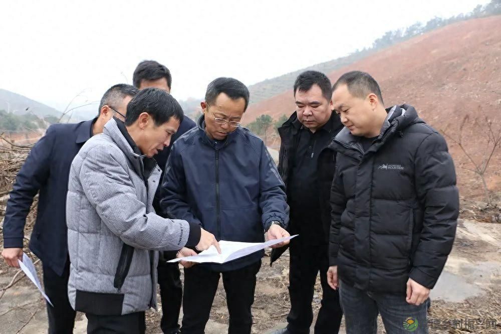 【常德林业】市林业局开展森林防火、油茶产业调研(图1) 【常德林业】市林业局开展森林防火、油茶产业调研(图1)